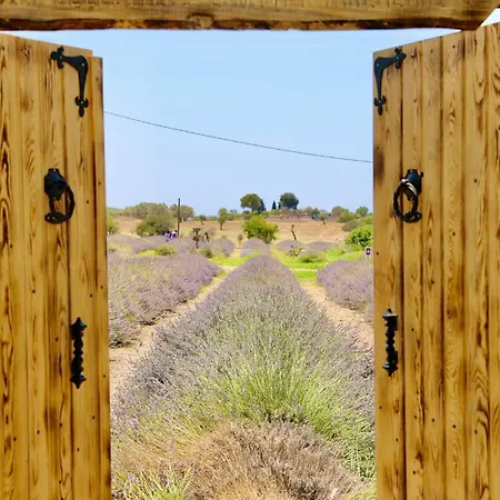 דירה Apart Daire דידים