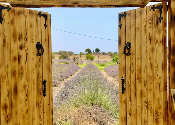 شقة Apart Daire ديديم